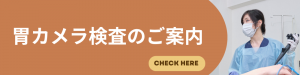 西にっぽり内科消化器クリニック｜胃カメラ